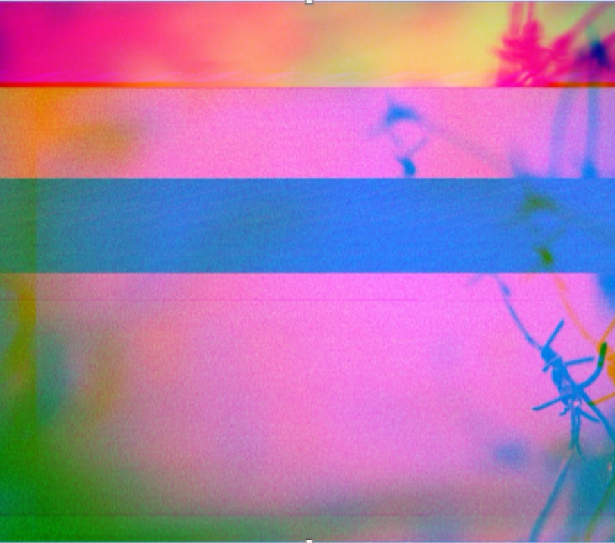 Black and white image of a hand holding traditional castanets with a focus on detail and form.